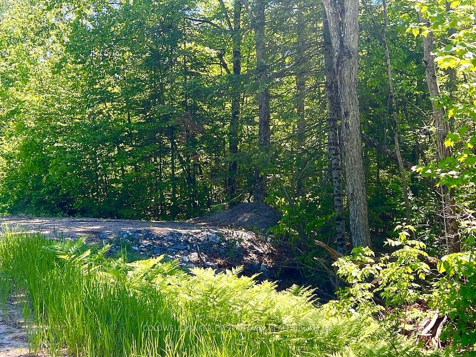 00 Buckshot Lake Road, Addington Highlands, ON K0H 1K0 – main photo