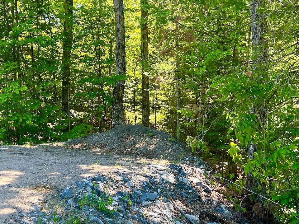 00 Buckshot Lake Road, Addington Highlands, ON K0H 1K0 – photo 2
