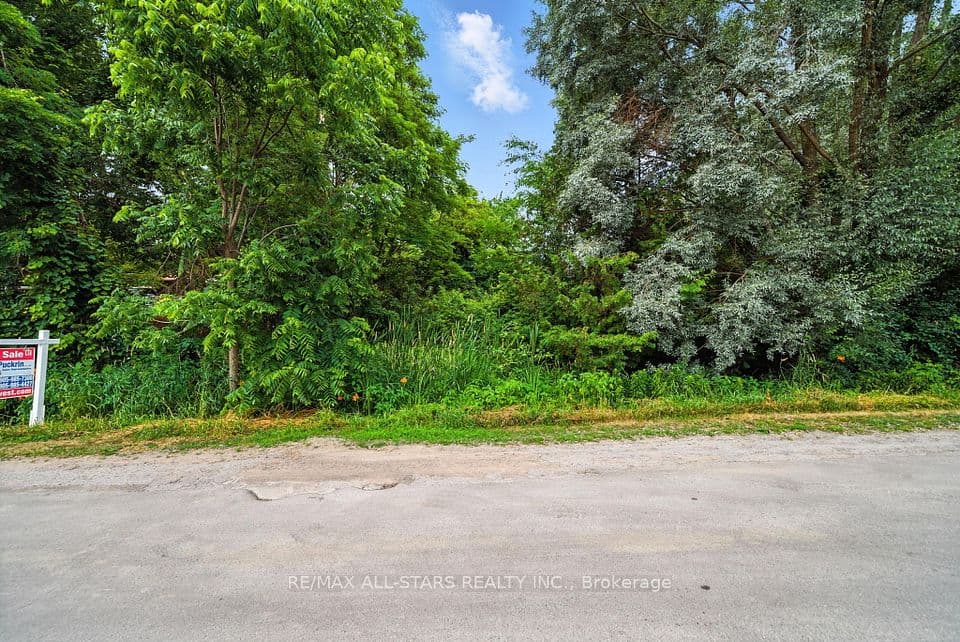 Lot 61 Summer Drive, Kawartha Lakes, ON K0M 2C0 – photo 2