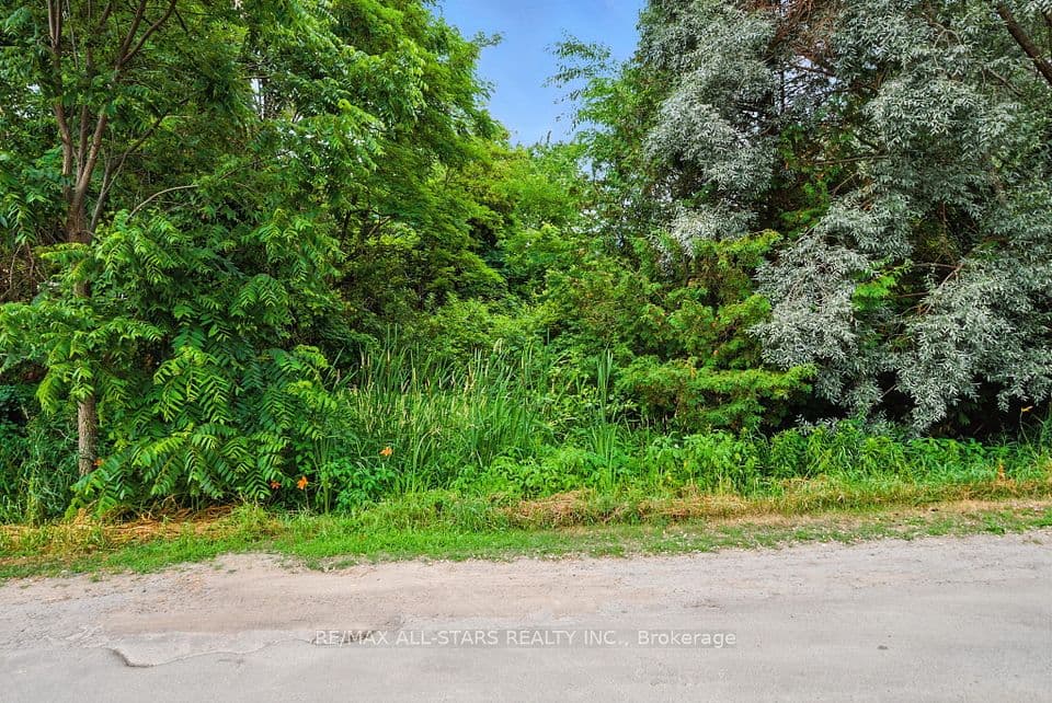 Lot 61 Summer Drive, Kawartha Lakes, ON K0M 2C0 – photo 3