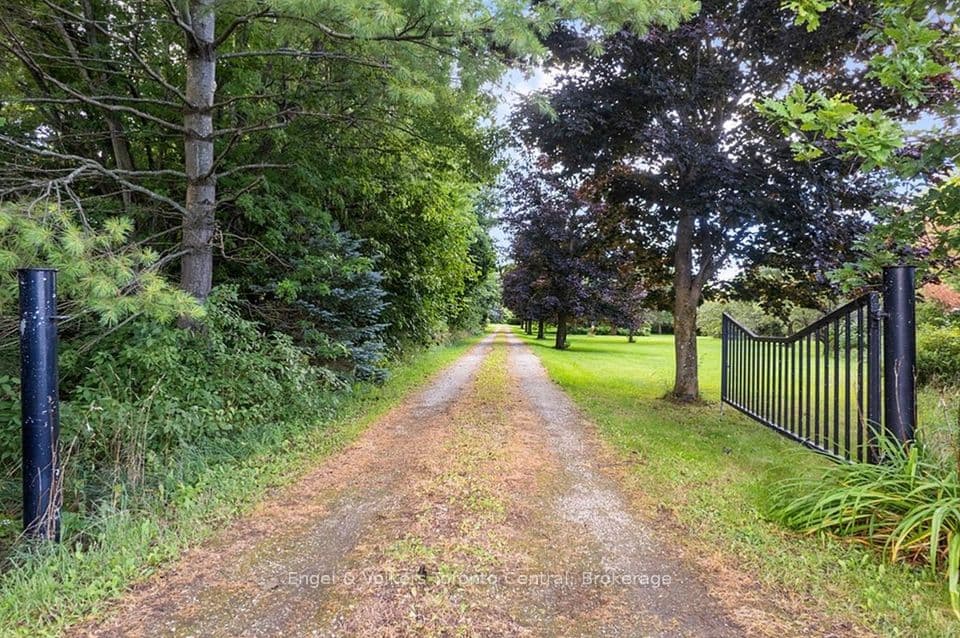 628482 119 Grey Road, Blue Mountains, ON N0H 1E0 – photo 3