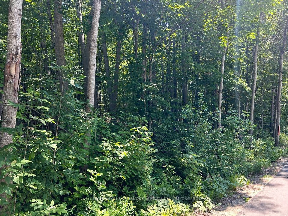 0 Tally Ho Winter Park Road, Lake of Bays, ON P1H 2J3 – main photo