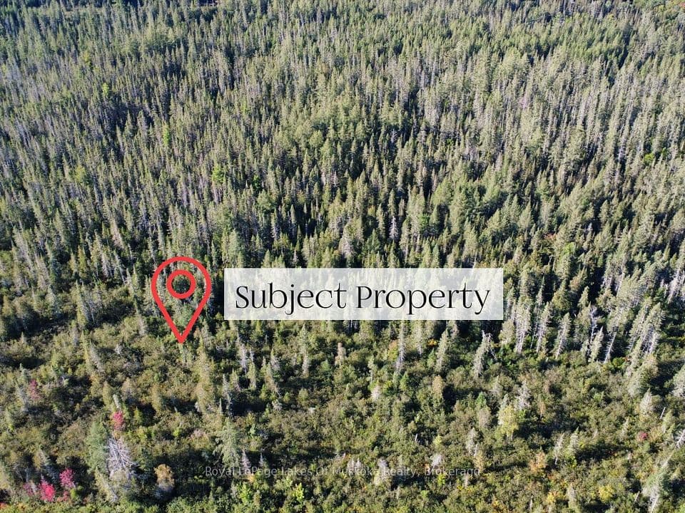 0 Fern Glen Road, McMurrich/Monteith, ON P0A 1Y0 – photo 3