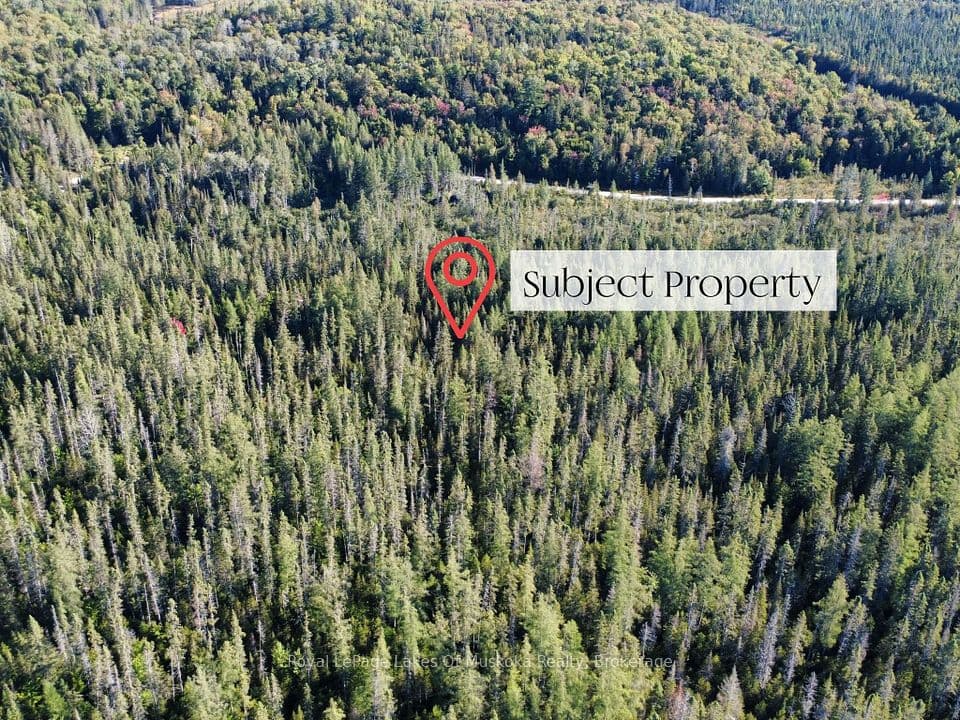 0 Fern Glen Road, McMurrich/Monteith, ON P0A 1Y0 – photo 2