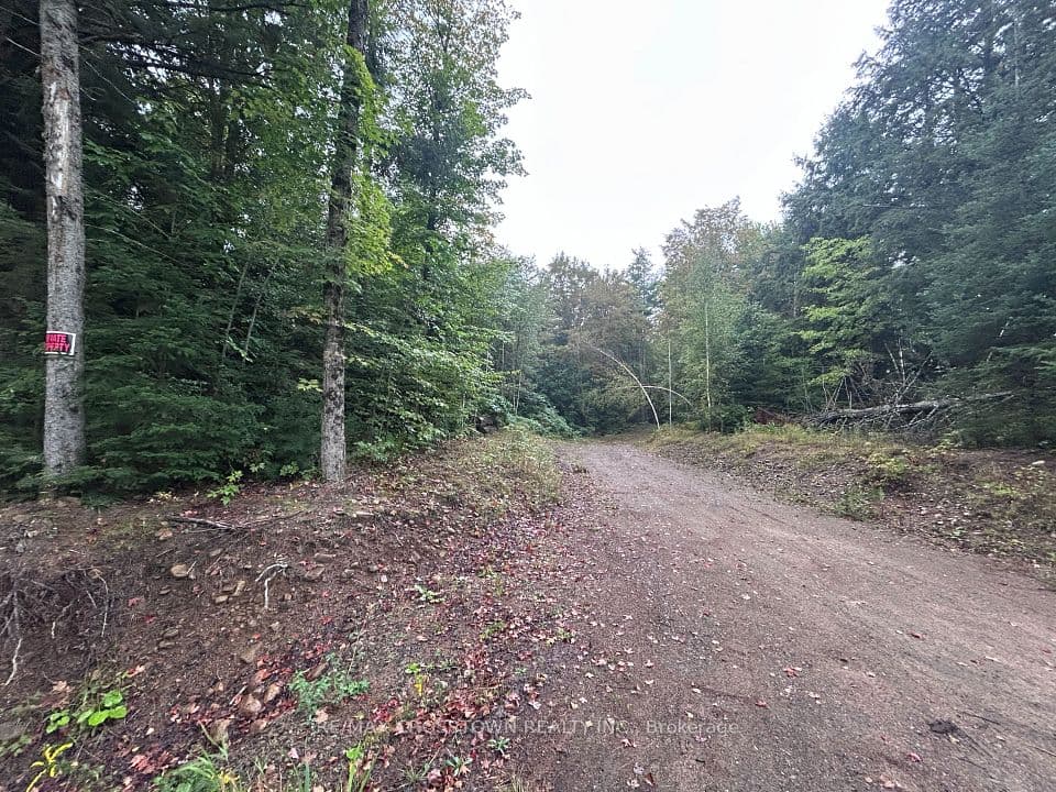0 Queens Line Road, Minden Hills, ON K0M 2K0 – photo 2