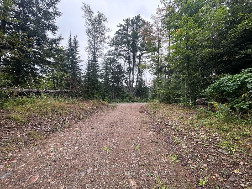 0 Queens Line Road, Minden Hills, ON K0M 2K0 – photo 3