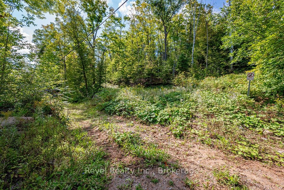 505 Bass Lake Road Lot 27 PART 1, Trent Lakes, ON K0M 1A0 – photo 3