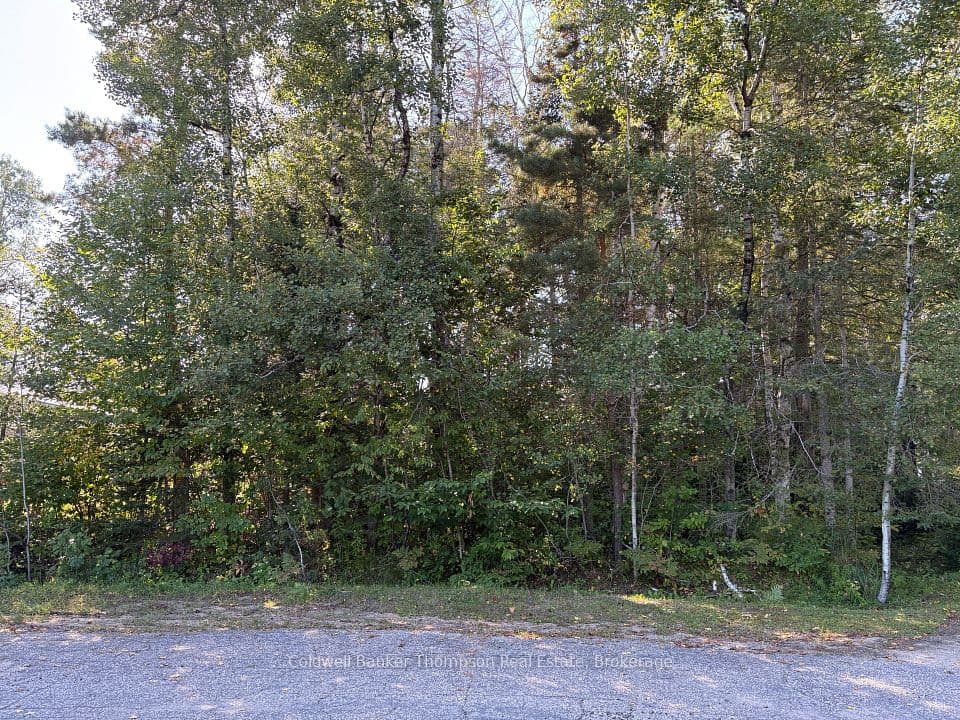 42 Tebby Boulevard, South River, ON P0A 1X0 – main photo