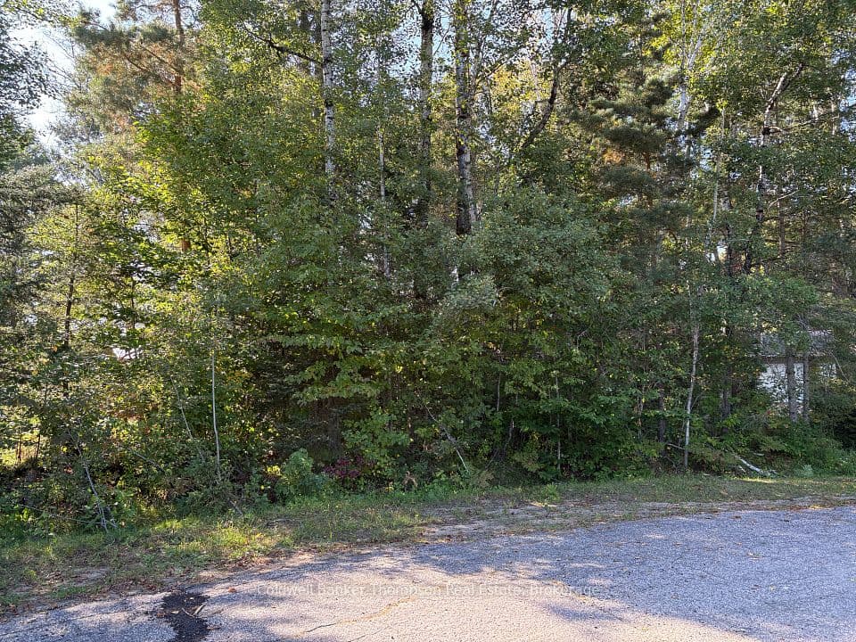 42 Tebby Boulevard, South River, ON P0A 1X0 – photo 2