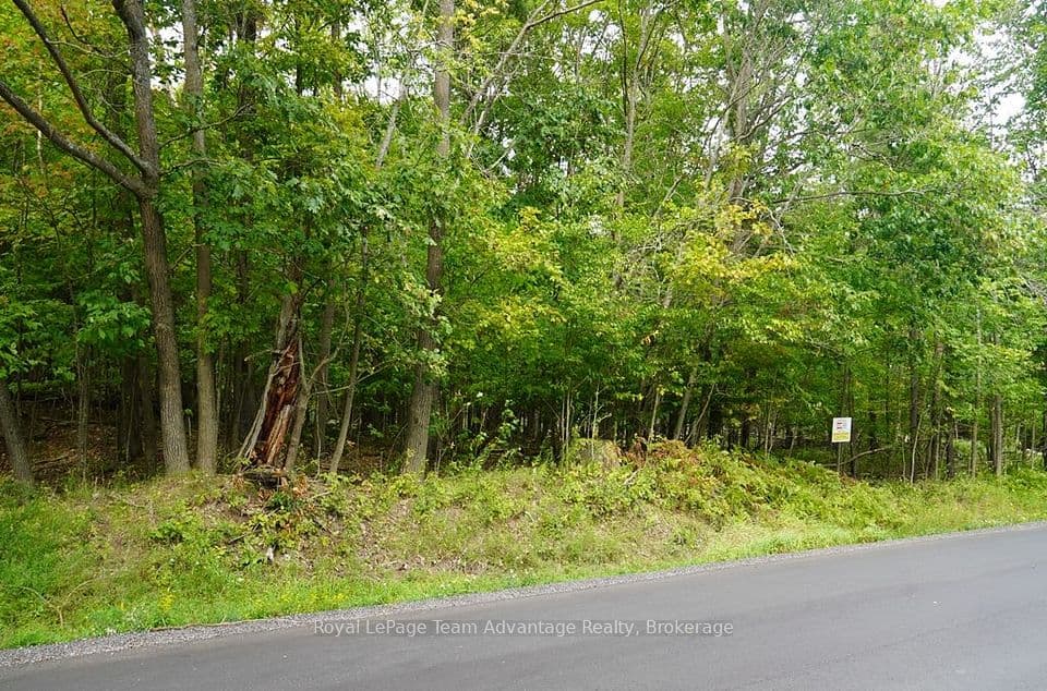 99 Carling Bay Road E, Carling, ON P0G 1G0 – main photo