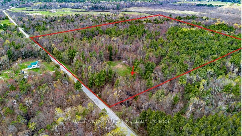 7390 Sadowa Road, Kawartha Lakes, ON L0K 1W0 – photo 2