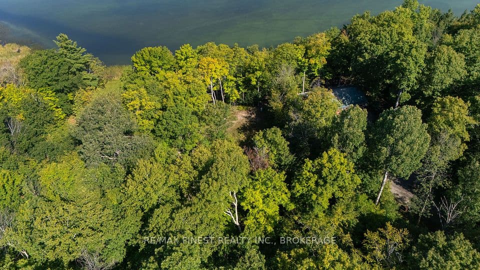 276E Kidds Road, Stone Mills, ON K0K 2A0 – main photo