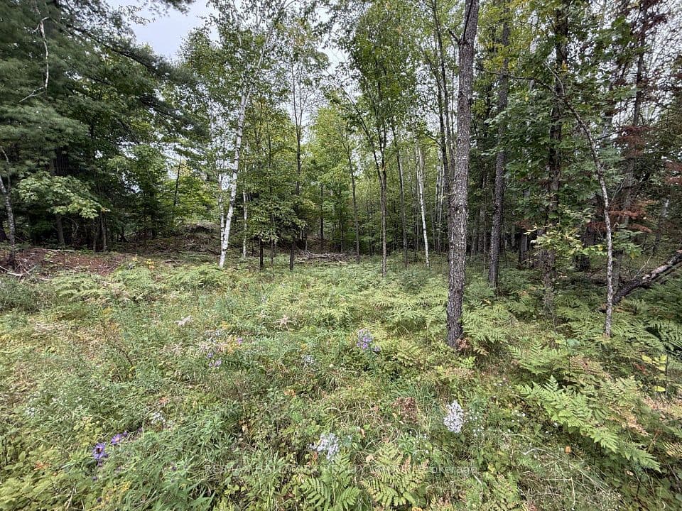 1059 6th Concession B Road, Lanark Highlands, ON K0G 1K0 – photo 3