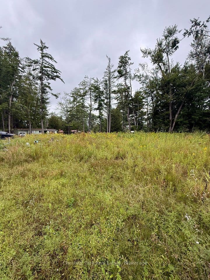 1004 Chippawa Avenue, Gravenhurst, ON P1P 1R1 – main photo