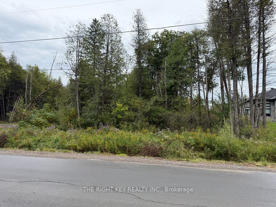 6236 Nick Adams Road, Greely - Metcalfe - Osgoode - Vernon and Area, ON K4P 1H2 – photo 3