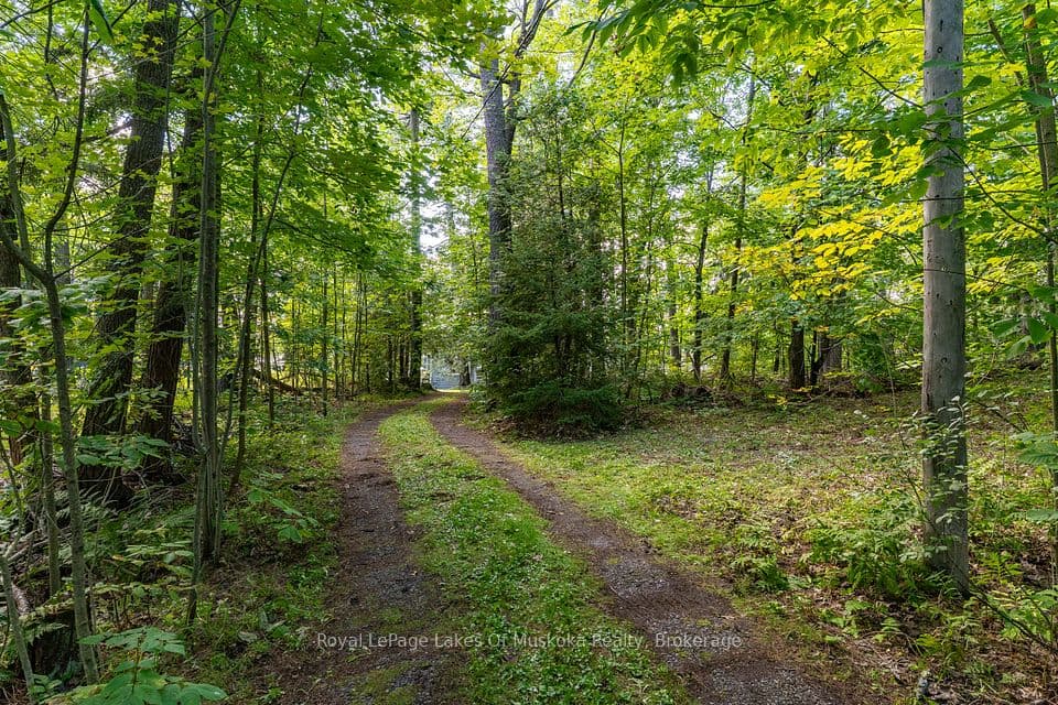 1106 Clear Lake Road, Muskoka Lakes, ON P0C 1M0 – photo 2