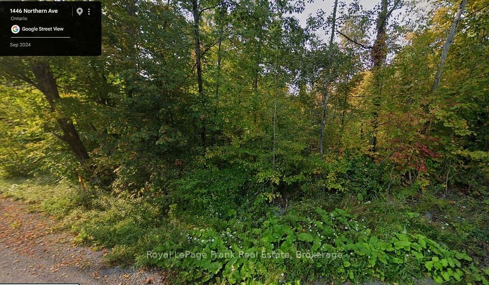 0 Northern Avenue, Trent Lakes, ON K0L 1J0 – photo 2