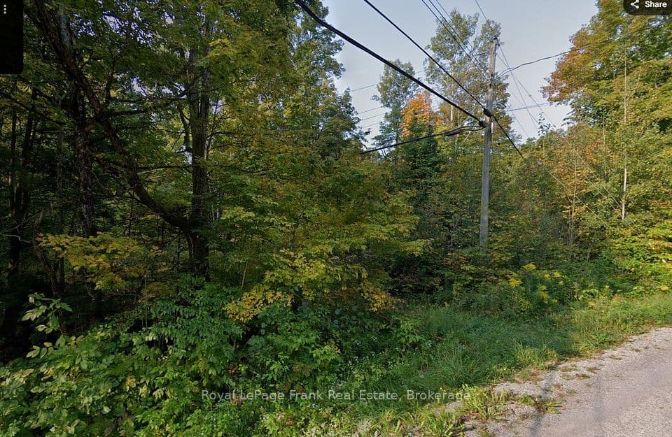 0 Northern Avenue, Trent Lakes, ON K0L 1J0 – photo 3