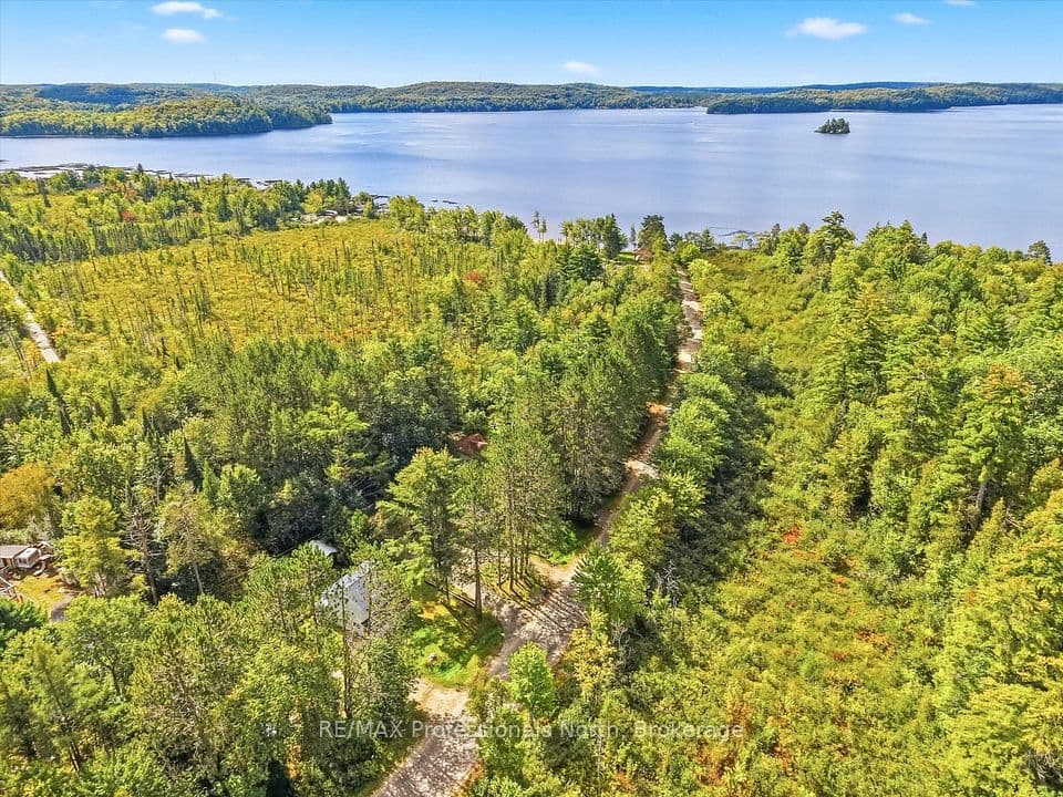 31 Hutcheson Beach Road E, Huntsville, ON P1H 1N4 – photo 3