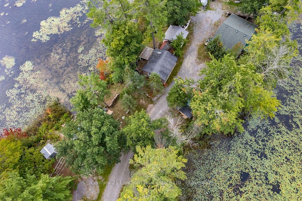 175 Donaldson Lane, Centre Hastings, ON K0K 2K0 – photo 3