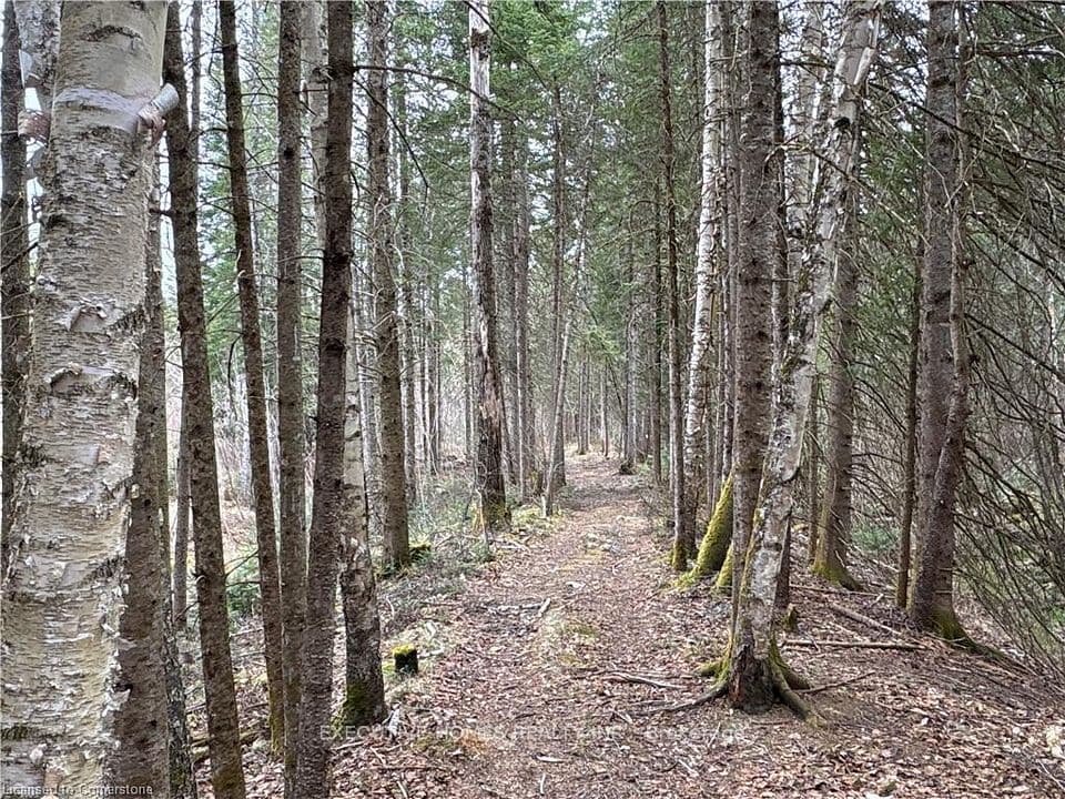 1014 BULRUSH Trail, Highlands East, ON K0M 1R0 – main photo