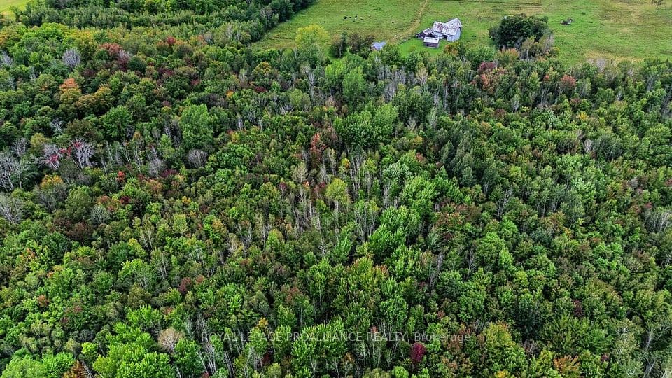 0 Kain Road, Edwardsburgh/Cardinal, ON K0E 1E0 – photo 3