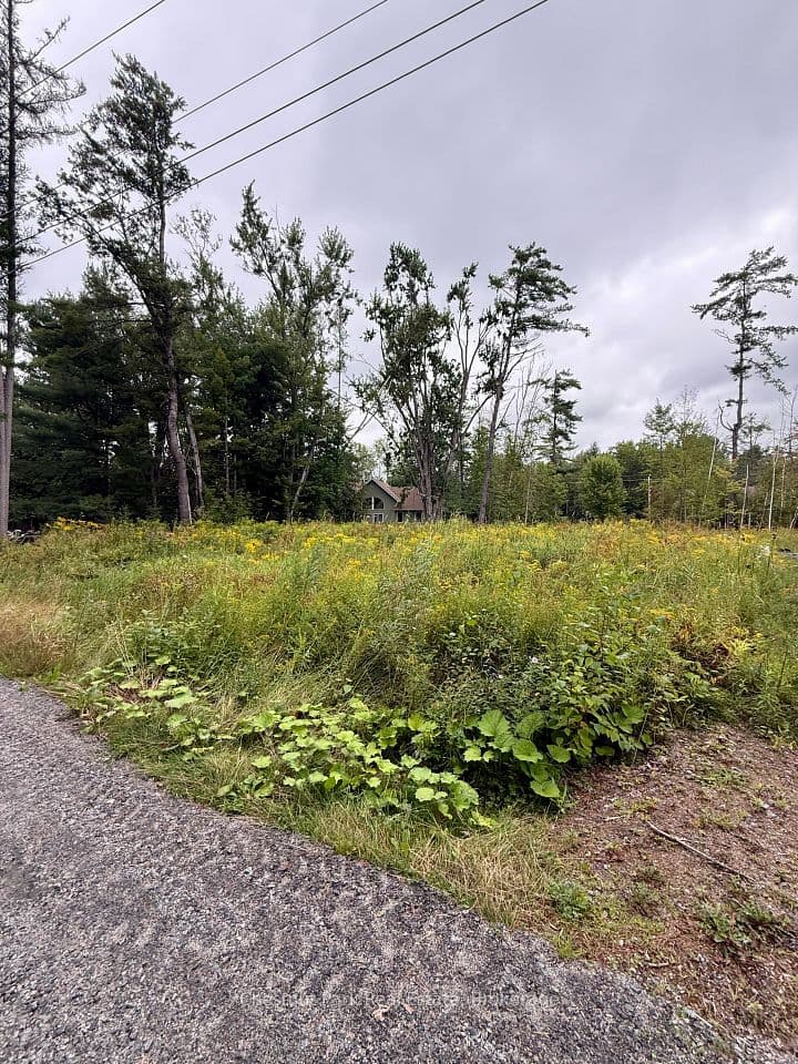 1006 Chippawa Avenue, Gravenhurst, ON P1P 1R1 – photo 2