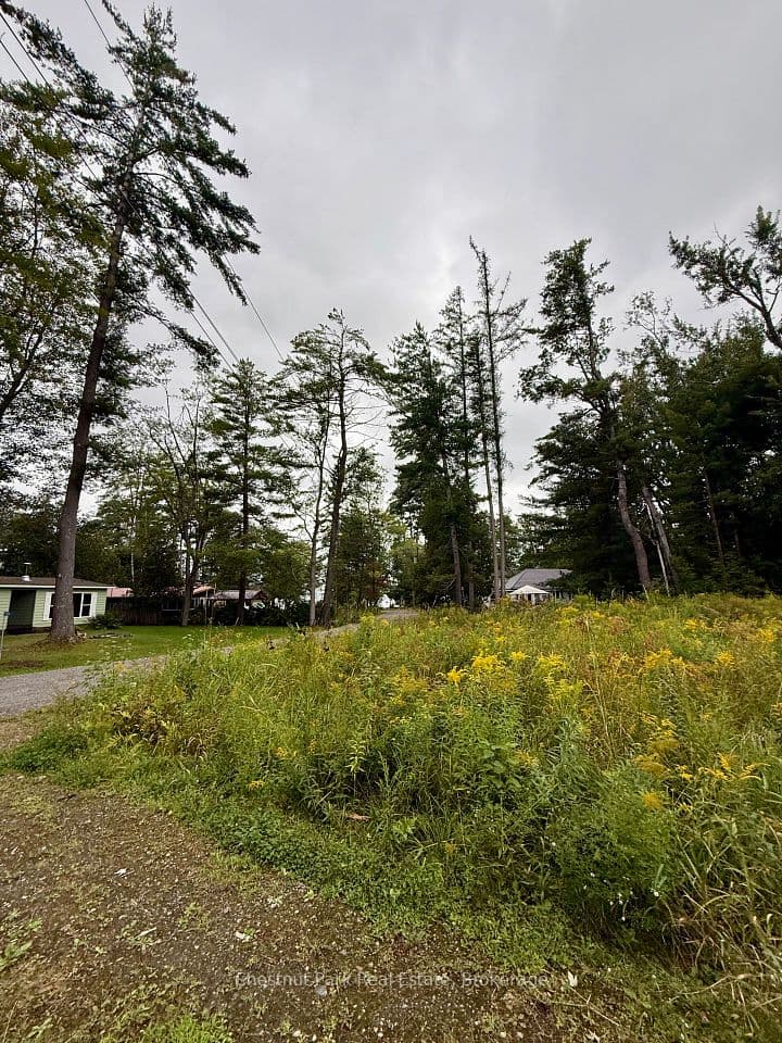 1006 Chippawa Avenue, Gravenhurst, ON P1P 1R1 – photo 3