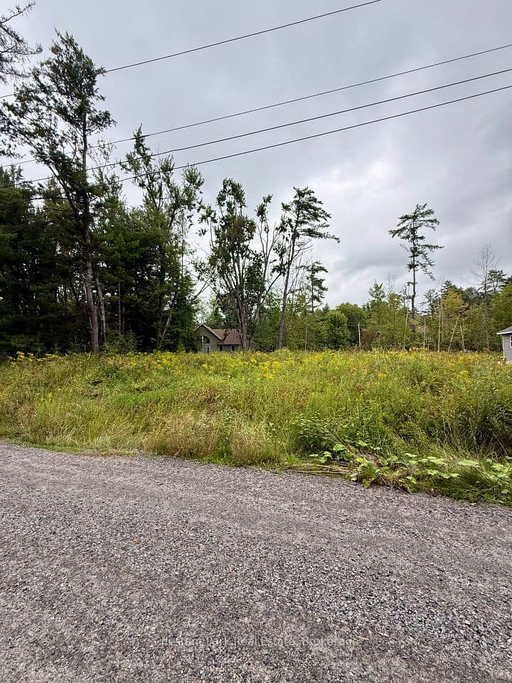 1006 Chippawa Avenue, Gravenhurst, ON P1P 1R1 – main photo