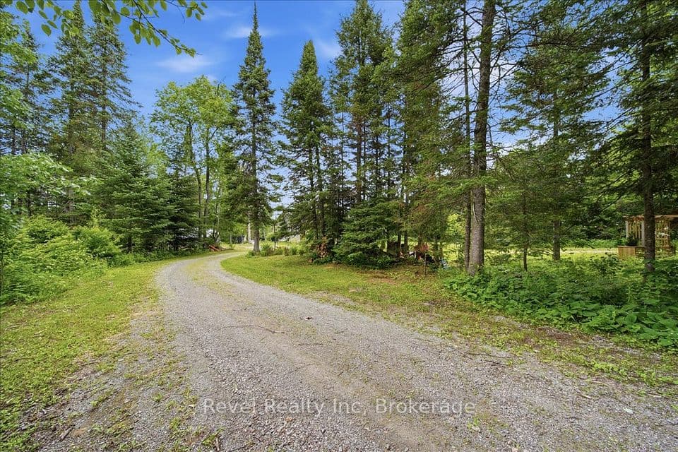 1100 Morning Glory Drive, Highlands East, ON K0M 1R0 – photo 3
