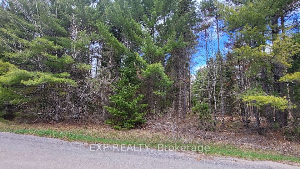0 Ginza Street, Greater Madawaska, ON K0J 2R0 – photo 3