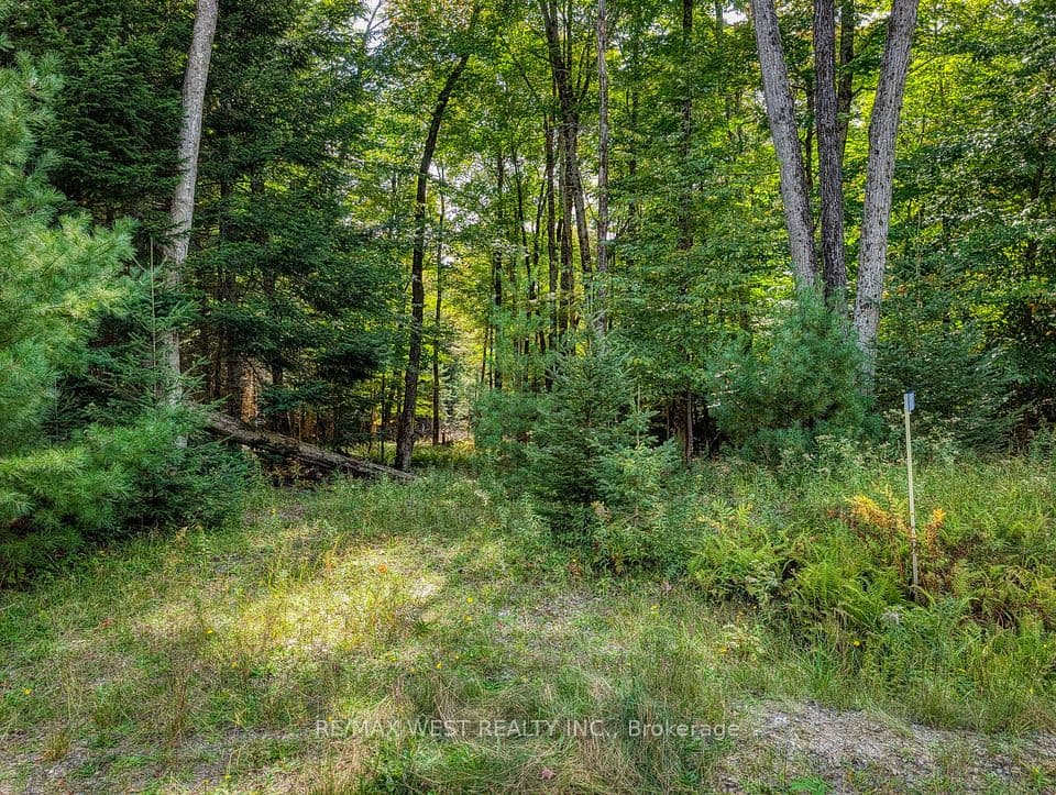 131 Deerfoot Trail, Huntsville, ON P1H 0A8 – photo 2