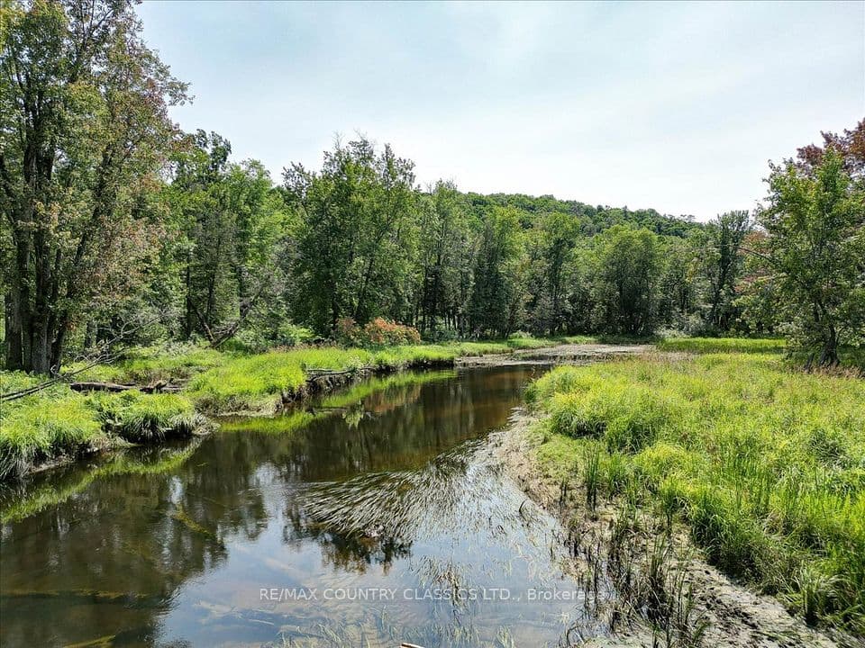0 North Rusaw Road, North Kawartha, ON K0L 1A0 – main photo
